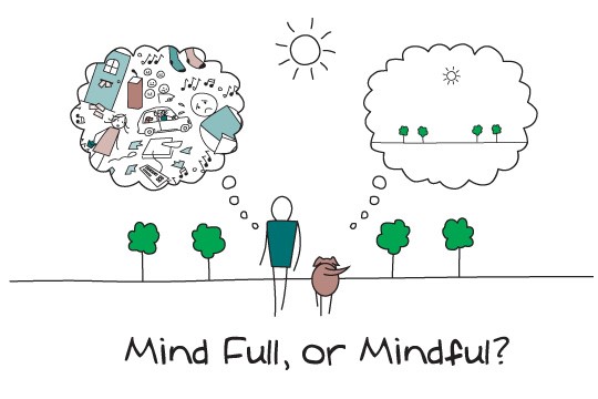 mind full or mindfulness
