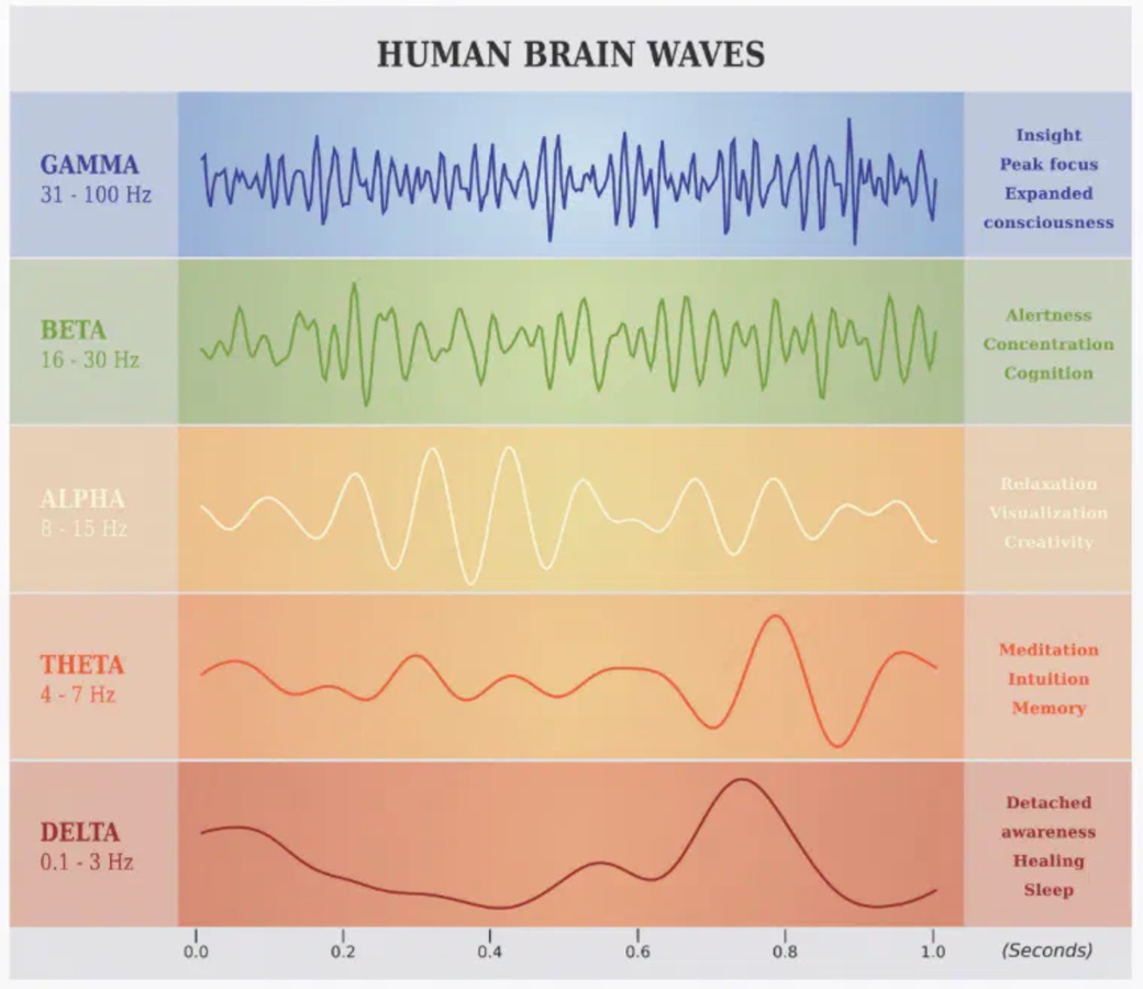 theta brain waves indicate the meditative state of consciousness